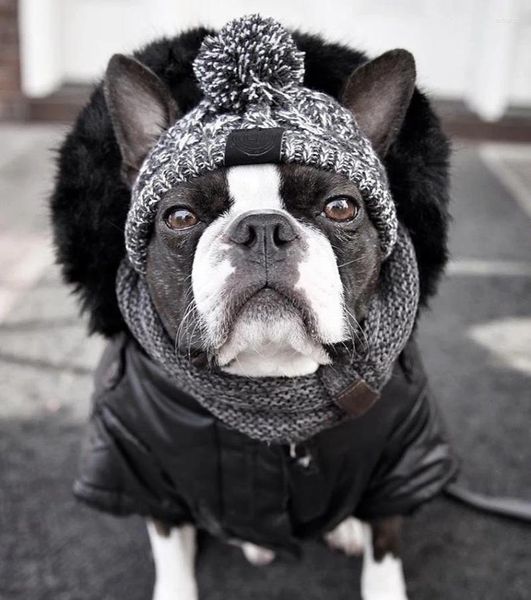 Abbigliamento per cani Kitting inverno gog cappello da pet headgear Fashion Hair Balls Mantieni il gatto caldo di alta qualità