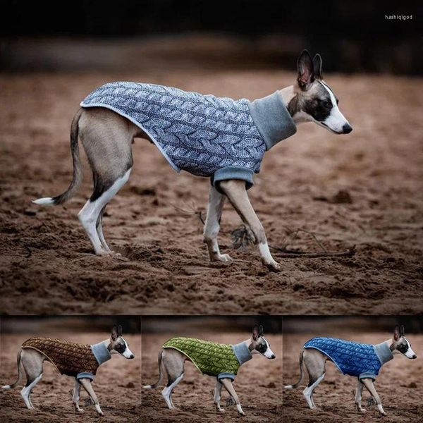 Vestuário para cães roupas quentes de pet de estimação de inverno casual casual de duas pernas ao ar livre colar de cor sólida de cor sólida colar de poliéster alto