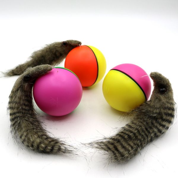 Hunde und Katzen lieben Weasels Elektrische Biberkugäle Spaß Rolling Ball Toys Haustiere Kinder Spring Spaß mobile Spielzeuge Th75a