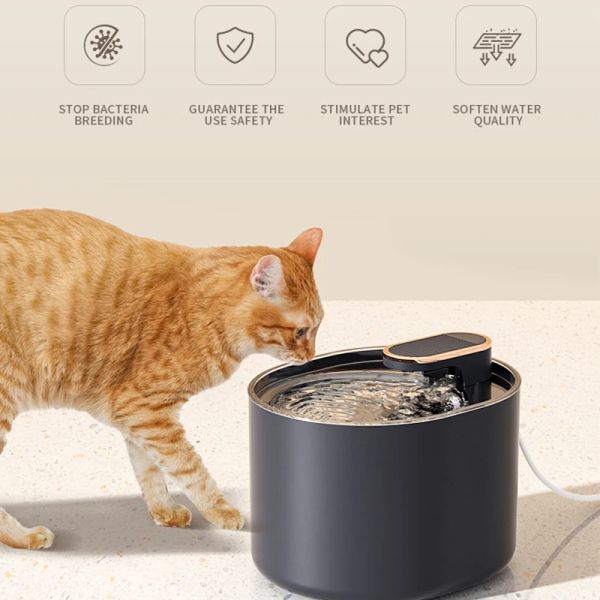 Supplies Pet Drinker Water Cat Dog Automático Dispensador de tinta Filtração Filtração Mudo alimentador de bebida em casa