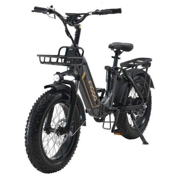 Figoo City 1000W 48V15A AH TIRO PIASTURA PILABILE BIKE ALTA VELOCITÀ 45 km/h bicicletta elettrica per uomini e donne