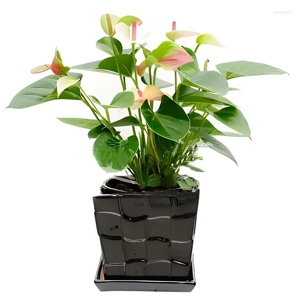 Flores decorativas simuladas de plantas de flor de palmeira vermelha branca em vasos verdes de pátio artificial Decoração de jardim de pátio Buquê 47cm