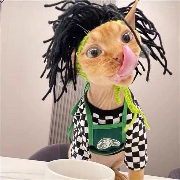 Abbigliamento per cani Punk in stile Funny Cat Cat Cat Hatless Sphinx Chieno Accessorio Accessorio Roccia Drag Pet Supplies