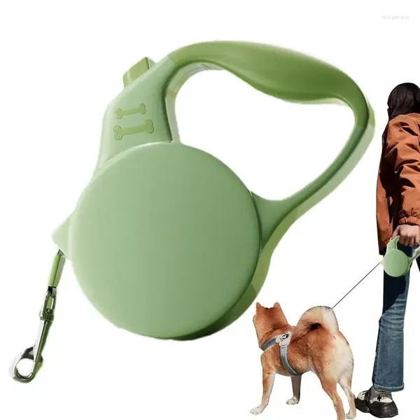 Collari per cani corda pesante con un nastro in nylon durevole e riflettente che cammina il sistema di blocco del cinturino di sicurezza a scomparsa con impugnatura non slip