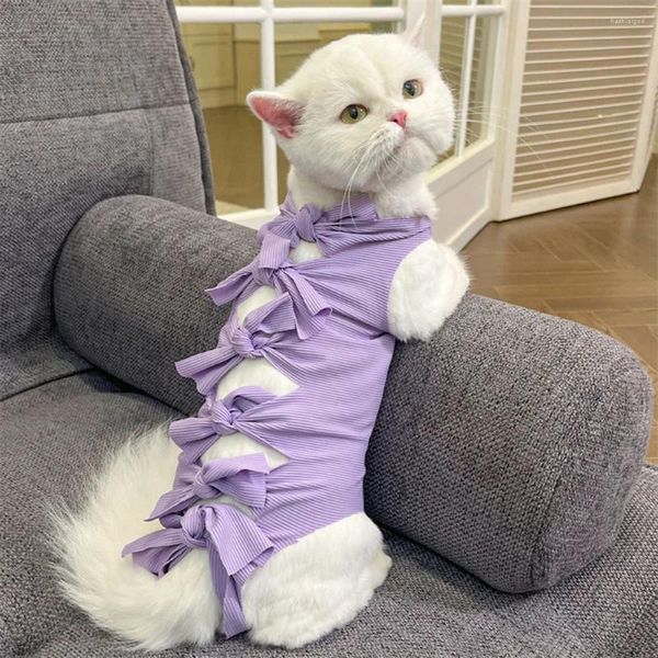 Costumi di gatto abito da recupero professionale per maschile gatti gatti pet per pet tessuto cuccioli