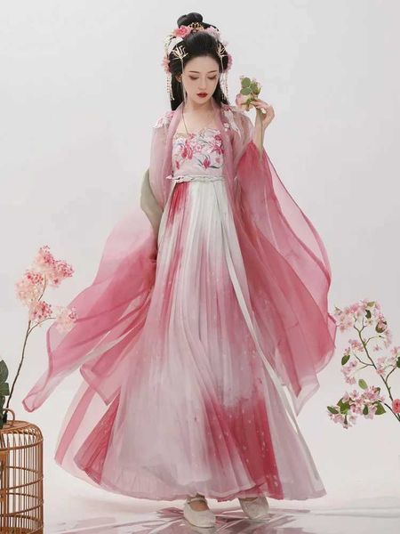 Ethnische Kleidung Hanfu Kleid rosa roter Kezi Rock große Ärmel traditionelle chinesische Kleidung Outfit Tang Dynastie Blumenstickstätte Tanzbühne Kostum
