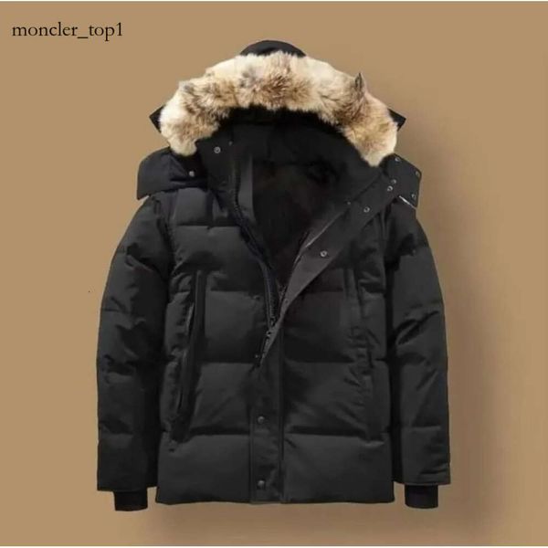 Können Männer Designer Real Coyote Canada Pufferjacken Fur Outdoor Wyndham Windbreaker Jassen Oberbekleidung Kapuze mit VierRure Manteau Down Jacke Hiver Parka