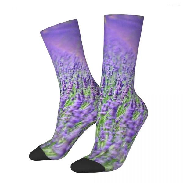 Donne calzini campi di lavanda per sempre inverno Dunkellila Plant Violet Stockss Fashion Custom Outdoor Non slip