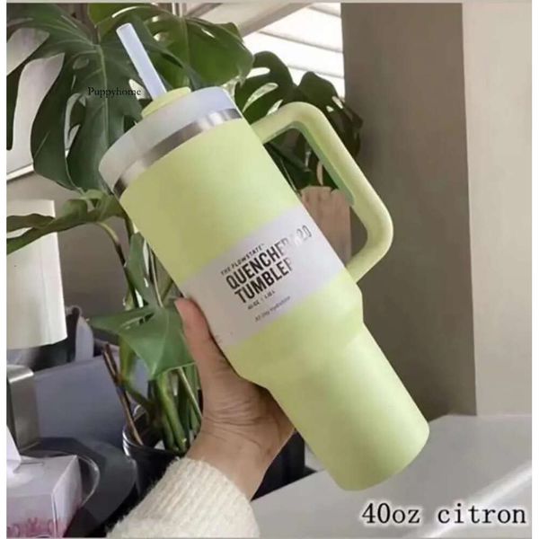 US Stock Citron Becher 40 Unzen Edelstahl Pool Tumbler Handle Deckel Stroh große Kapazität Bierbecher Wasserflasche für Valentinstag Geschenkcamping