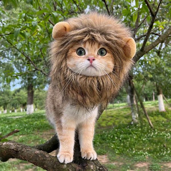 Costumi per gatti Cosplay di copricapo di gatti e cane Cosplay leone carino pet cappello cucciolo cucciolo cucciolo sparare immagine divertente