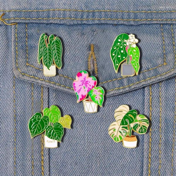 Broches verde Lucky Bamboo em vasos de esmalte em vasos criativos de desenho animado criativo Plant Metal Broche Bistge Trendy Lapel Jewelry Gift for Family Friend