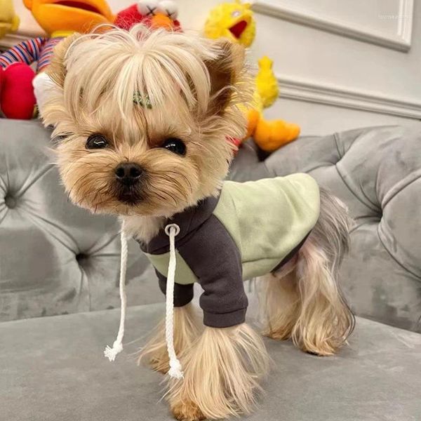Köpek Giyim Modaya Düzenli Moda Hoodies Sonbahar Kış Kırık Renk Engelleme Sevimli Bahar Kore Süper Küçük Evcil Kedi Kazak