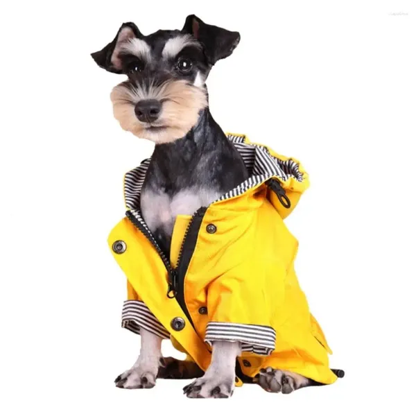 Jaqueta de Aparel de Dog Autumn Inverno Impermeável Costume quente Roupas amarelas para cães pequenos grandes