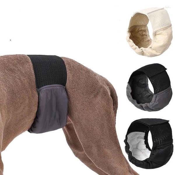 Abbigliamento per cani Pantaloni fisiologici alla moda Pantaloni fisiologici femminile Maschio Antissa in bianco pannolino lavabile