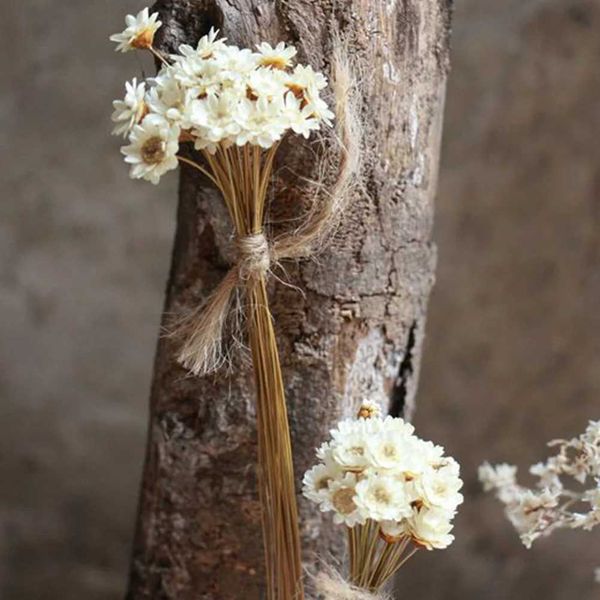 Kurutulmuş çiçekler 30 adet doğal papatya korunmuş çiçekler narin kurutulmuş çiçekler diy fotoğrafçılık propları sonsuz çiçek demetleri buket (beyaz)