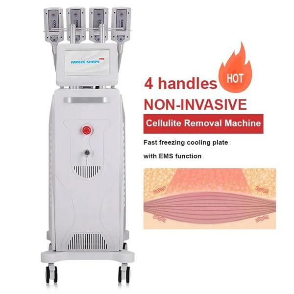 Hot Sale Cryolipólise EMS Machine para gordura congelando a curva de emagrecimento do corpo congelante com placas criogênicas 4/8