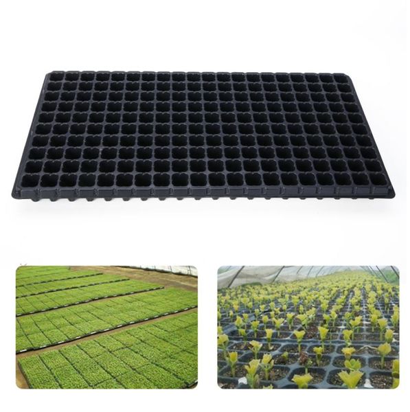 200 Celle Sedling Starter Bandeja Extra Strength Seed Germination Plant Pots Flower Like Crow Box Propagation for Garden3473546