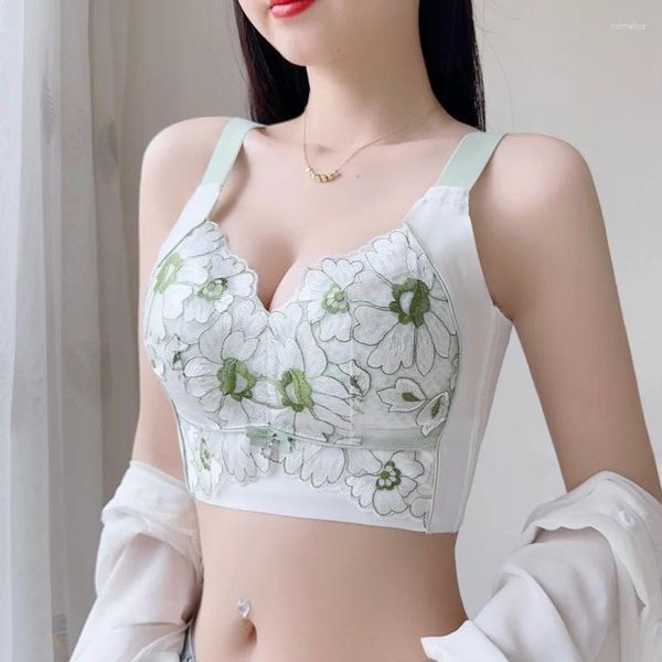 Bras Women Cup completo Cotton Bra Lace Design Bushweight Untrofle