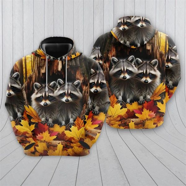 Moletons masculinos fofos de raccoon moletons graphics harajuku flor de moda para homens roupas amantes de animais rastrear pullovers de garoto de crianças tops