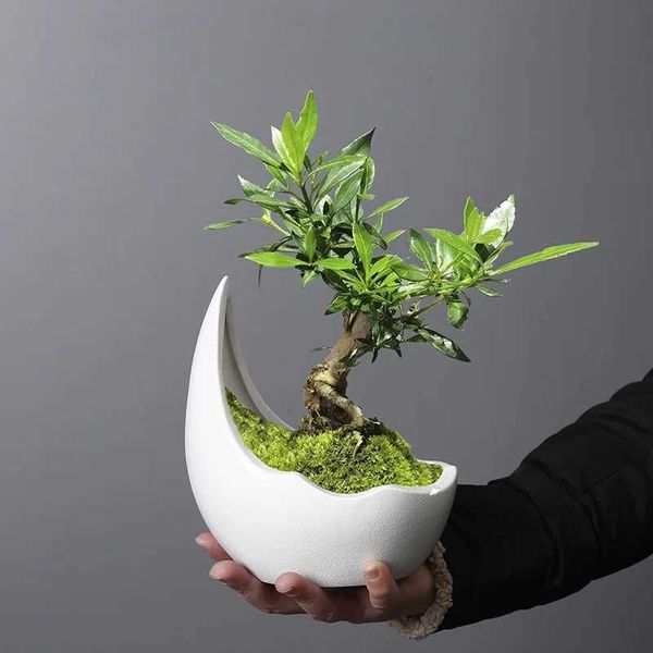 Plantadores pots rinocerontes chifre em forma de cerâmica vaso verde planta verde cacto suculento bonsai decoração caseira q240429