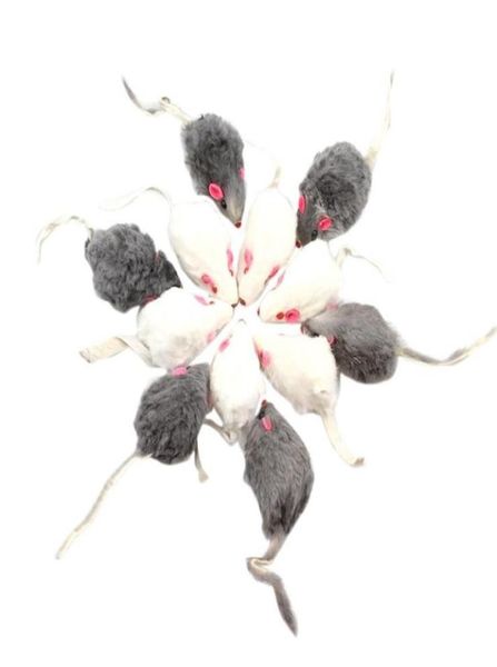 Toys de gato 12pcs rato falso rato com caba ambulante, som de cauda de caba