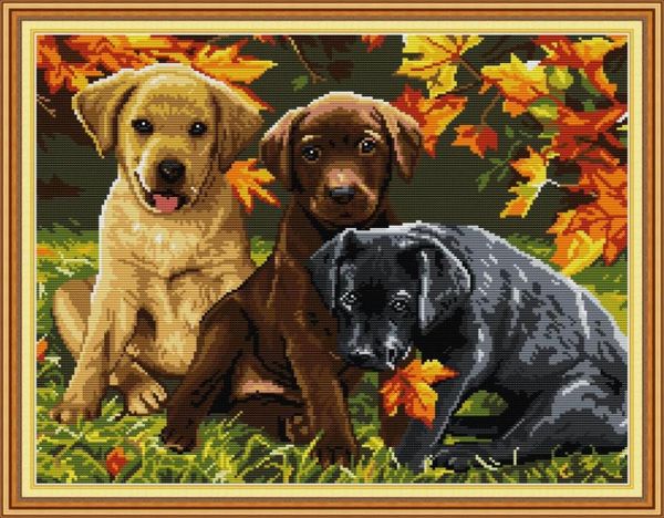 Três cães decoração de casa Diy Artwork Kit Ferramentas de artesanato cruzado artesanal Bordado de bordados de bordado de bordado de craveria impressão na tela DMC 147340960