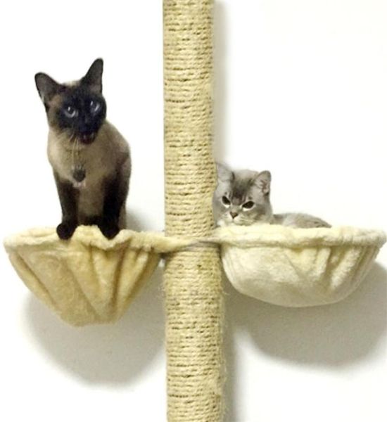 Ecara di gatto morbida Installa sul canile addormentato dell'albero appeso Peluga spessa 4 colori per peperità Dia 30 cm35 cm Capacità 2107228541257