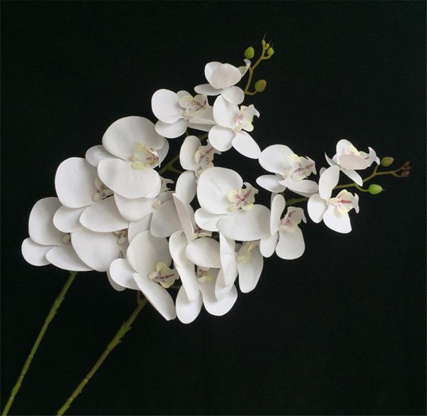 Orchidee vere touchs di alta qualità Orchide Orchide Fiori artificiali Fiori della Principessa Orchide Phalaenopsis per Wedding Centerpi9184524