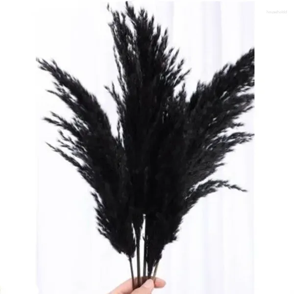 Dekorative Blumen 5 teile/los Große Pampas Gras Farbstoff Natürliche Schwarz Schilf Flores Für Wohnzimmer Shop Treffen Decortion Freies Einkaufen