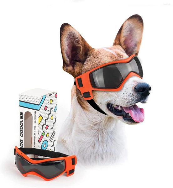 Óculos de proteção para cães e gatos, óculos de sol para proteção uv ao ar livre, pequeno e médio, acessórios para animais de estimação