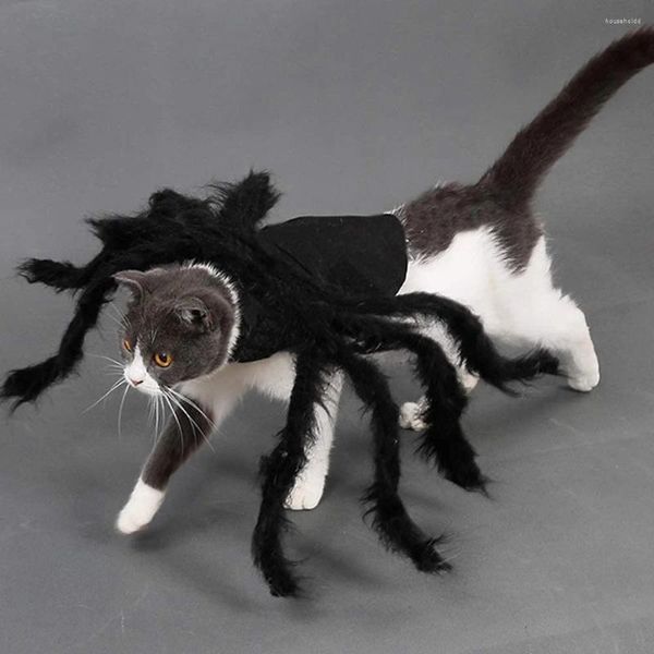 Costumi per gatti Costume da ragno di Halloween per cani Forniture per feste per animali domestici Cosplay Cani e gatti di piccola taglia media