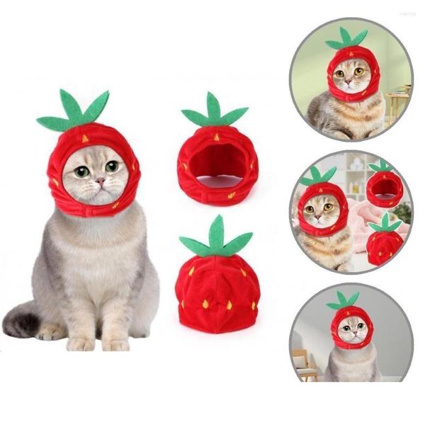 Vestuário para cães bonito gatinho filhote de cachorro chapéu de frutas pet headwear cor brilhante suave para entrega de gota de pele dhrlz