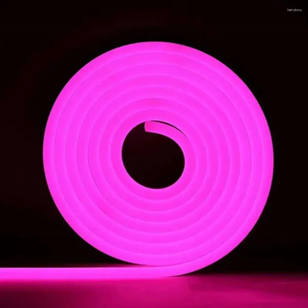 Dizeler Yağmur Geçirmez LED Strip IP65 Su Geçirmez 5m Neon Işık Diy dekorasyonu Düşük Voltaj Süper Parlak Yan Esnek Yumuşak