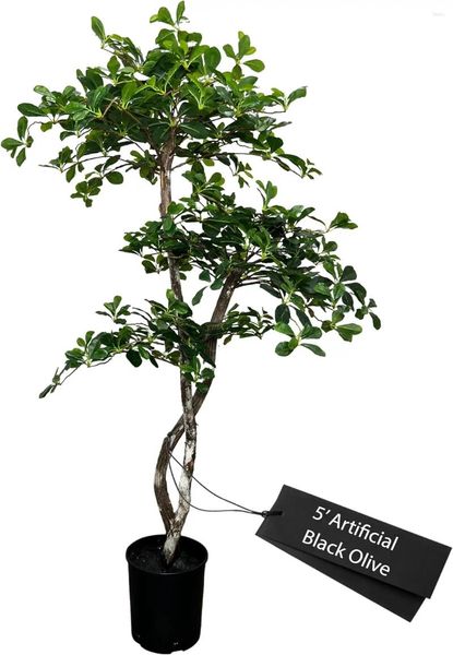 Fiori decorativi albero artificiale fatto a mano con foglie di ulivo nero da 5' con tronchi di vero legno di provenienza etica verde