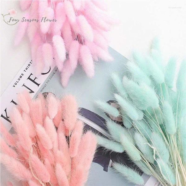 Fiori decorativi 30/60 pezzi Fluffy Bunny Tails Disposizione secca Coda di coniglio naturale Erba per Boho Decorazione domestica Decorazione di nozze