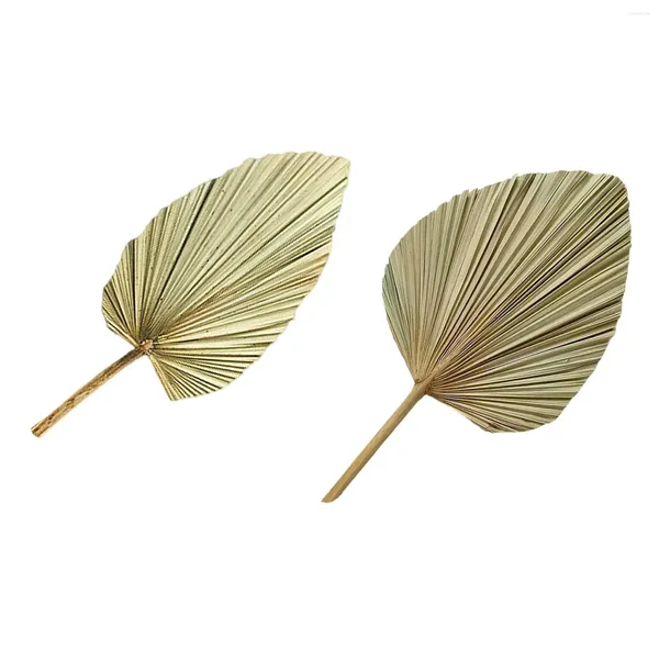 Dekorative Blumen getrocknete Palmblätter echte Blätter Blumenstrauß für Vase Boho trocken