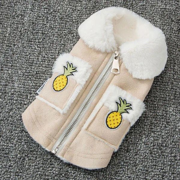 Abbigliamento per cani Accessori per animali domestici Abito per cucciolo Gilet di ananas Abiti in velluto di pelle ricamati ispessiti per cani di piccola taglia