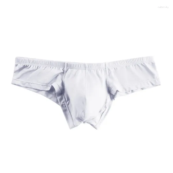 Homens de banho sexy homens biquíni roupa interior transparente spa nadar briefs praia bronzeamento maiô porno troncos de banho shorts bolsa 2024