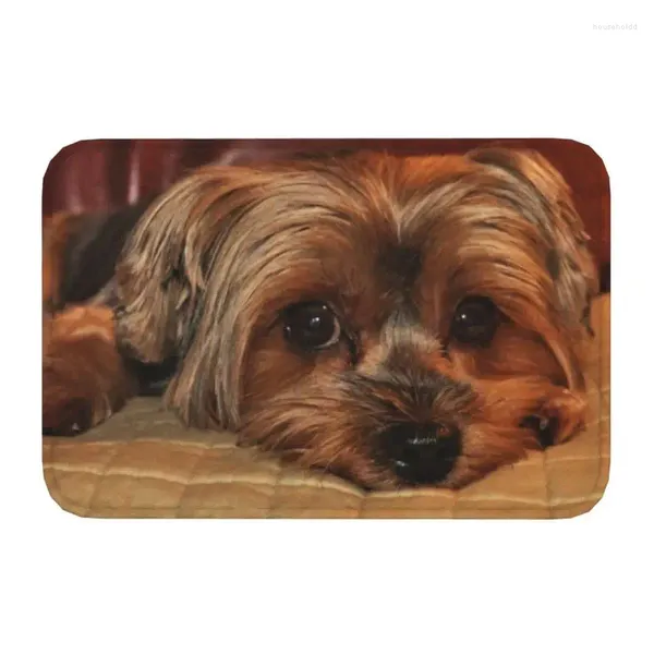 Tapetes Yorkshire Terrier Yorkie Dog Front Door Mat Anti-Slip Quick Dry Interior Capacho Cozinha Varanda Tapete Sala de estar Tapete