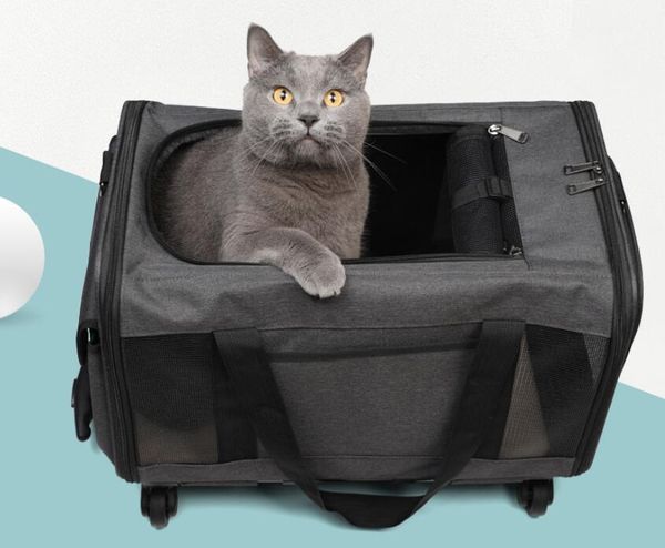 Transportador de animais de estimação premium expansível sobre rodas Transportador de rolamento de dois lados projetado para cães gatos Transportador forrado macio extra espaçoso