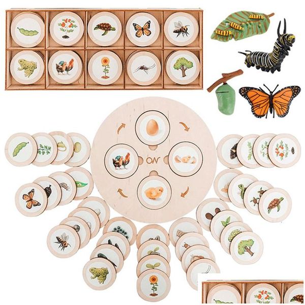 Ciência descoberta ciência disery ciclo de vida placa montessori kit biologia educação brinquedos para crianças bandeja sensorial figura animal classificação dhnoz