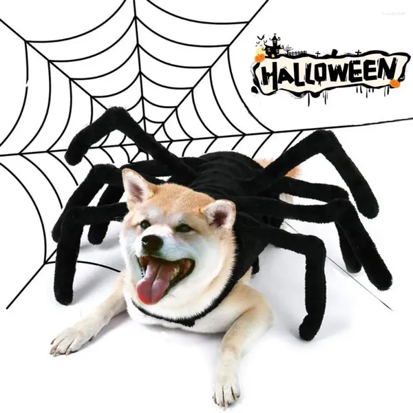 Trajes de gato Pet Halloween Spider Costume Macio Ajustável Fastener Tape Creative Cats Cães para Festival de Festa