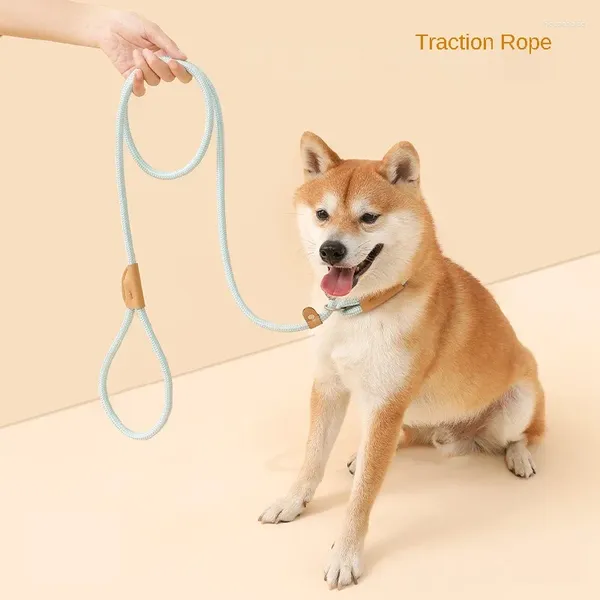 Collari per cani Guinzagli Guinzagli per cani Piccoli, medi e grandi Imbracature Cucciolo Durevole Pitbull Pet Lead Blast Traction Rope