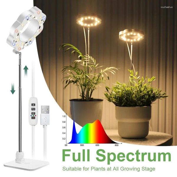Luci progressive Spettro completo Luce per piccole piante con timer 1/2 pezzi Lampada da scrivania a LED per piante da interno in crescita Altezza regolabile 3 livelli di attenuazione