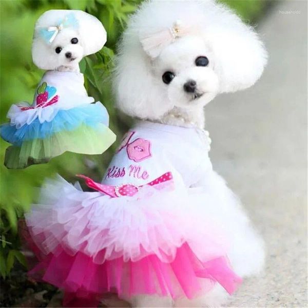 Abbigliamento per cani Sweety Gonna per animali domestici per gatti Moda Cucciolo Vestito Simpatico pizzo stile principessa Piccoli indumenti