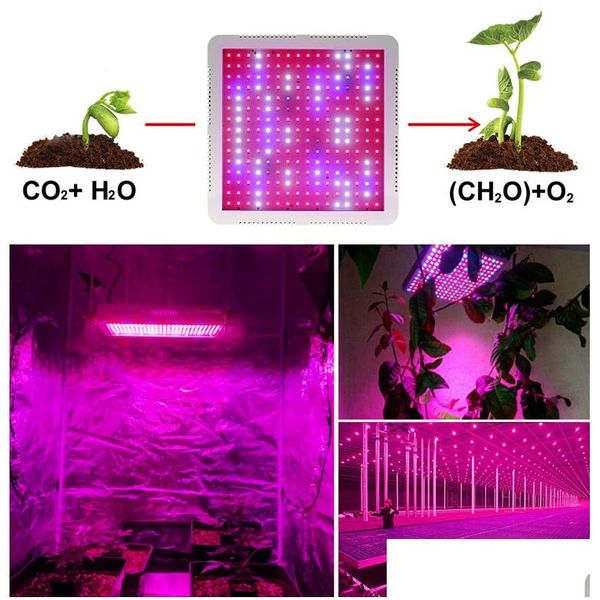 Cresce luzes Fl Spectrum LED Light 2000W com Veg e Bloom Double Switch Planta Lâmpada para Indoor Hidropônico Muda Tenda Estufa F Dhgul