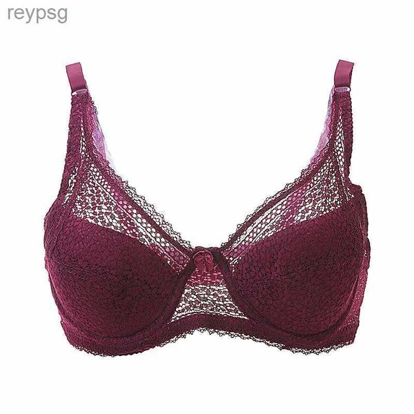 BHs BHs Frauen Sexy Bügel Gepolstert Stickerei Spitzen-BH 80D 85D 90D 95D Büstenhalter Push-Up-BHs Große Größe Sexy BHs für Frauen BH YQ240203