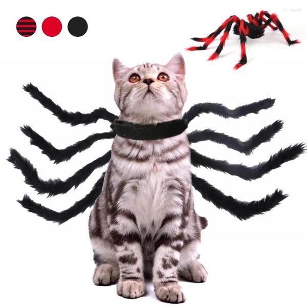 Trajes de gato Pet Cosplay Roupas Halloween Spider Engraçado Arnês para Fontes de Festa Roupas de Cachorro Dress-up Acessórios Navidad
