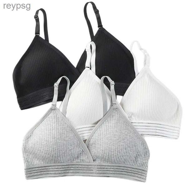 Sutiãs de algodão sem costura sutiãs para mulher sem fio sutiãs sólido push up sutiã com decote em v roupa interior fina almofada copo macio feminino íntimos yq240203