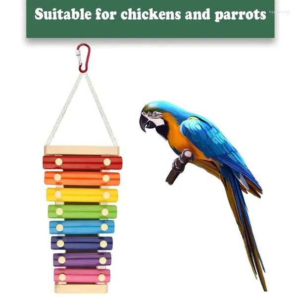 Anderer Vogelbedarf, Intelligenzspielzeug, Papagei, pädagogisches Trainingsseil, hängendes Huhn, Xylophon für Hühner, aufhängbares Holzkauen, 8 Tasten